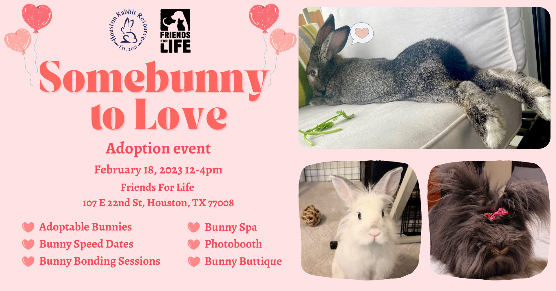 Somebunny To Love Adoption Event Houston Rabbit Resource